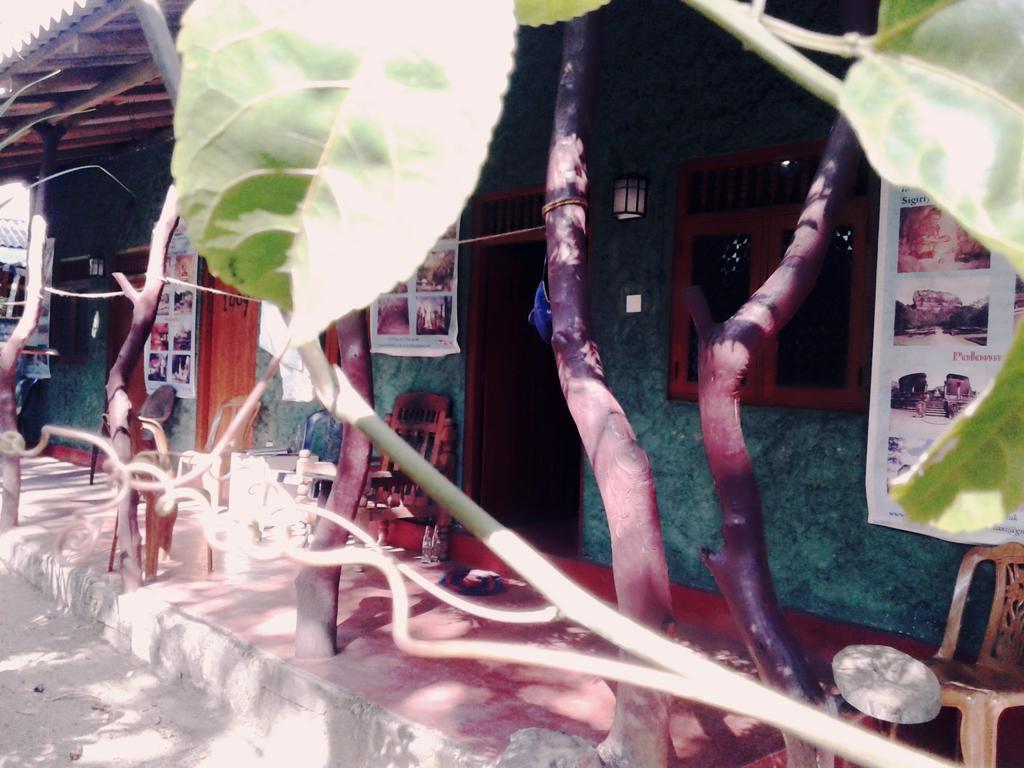 Bluesky Guest House Dambulla Εξωτερικό φωτογραφία